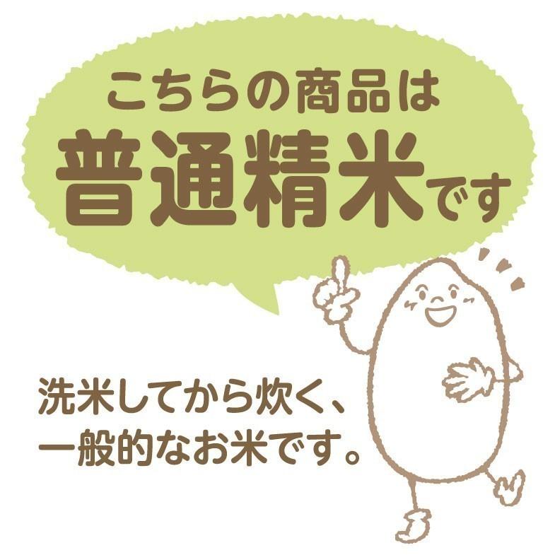 仁多米 コシヒカリ 10kg 5kg×2袋 島根県産 令和5年産 米 お米 白米 うるち米 精白米 ごはん