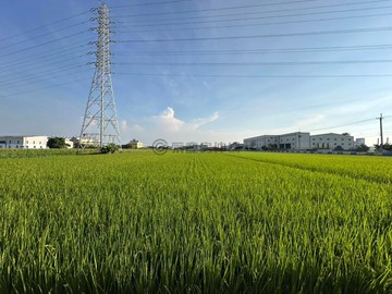 彰化秀水方正臨路特農A｜彰化縣秀水鄉西興段