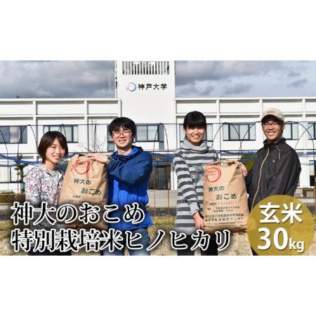 ふるさと納税 米 神大のおこめ（特別栽培米ヒノヒカリ）玄米30kg 兵庫県加西市