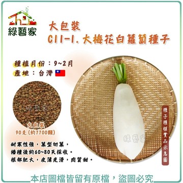 【綠藝家】大包裝C11-1.大梅花白蘿蔔種子90克 白蘿蔔 根部肥大，皮薄光滑，肉質甜 耐寒性強，葉型切葉 根莖類大包裝