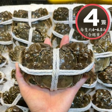 【華得水產】活蟹直送 江蘇大閘蟹4隻 (6~ 6.5兩/隻/公蟹 )-預購10月15以後出貨