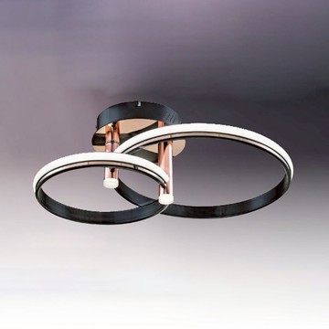 55W三色變光半吸頂燈 B102-81-22854