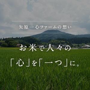 ふるさと納税 令和5年産 矢原一心ファーム 「特別栽培コシヒカリ」 10kg 鳥取県日南町