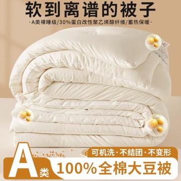母嬰級純棉大豆被30％蛋白改性聚乙烯醇纖維a類全棉被子 被芯冬被