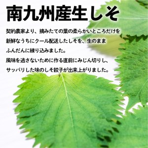 ちゃこばあちゃんの黒豚入りうんまか・しそ生餃子　計48個入り　K027-004 薩摩 さつま 大人気餃子 人気餃子 鹿児島産餃子 鹿児島県産餃子 餃子三昧 餃子セット しそ 紫蘇 しそ生餃子 しそ餃子 大人気黒豚 人気黒豚 鹿児島産黒豚 鹿児島県産黒豚 お弁当 おかず キャンプ 点心 中華 中華料理 飲茶 黒豚入り餃子 生餃子 ちゃこばあちゃん 焼き餃子 水餃子