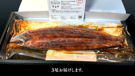   国産 有頭 鰻蒲焼 × 3尾 うなぎ ウナギ 冷凍 蒲焼き かばやき たれ焼き 土用 丑の日 食べきり 鹿児島 タレ 山椒 付 縁起 敬老の日 名店 老舗