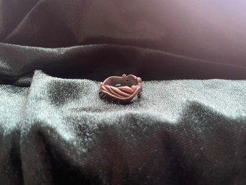 生命中不可承受之輕 羽毛戒指