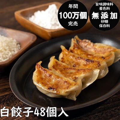 ふるさと納税 秋田市 年間100万個完売!餃子の餃天の