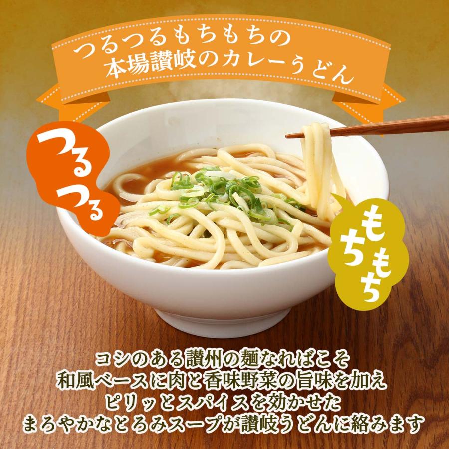 [讃州] 讃岐カレーうどん うどん県 じっくり熟成仕込み 半生麺 讃岐カレーうどん 3人前  讃岐 さぬき 香川県 讃岐つゆ カレー 麺類 製麺 香川名物 半生麺