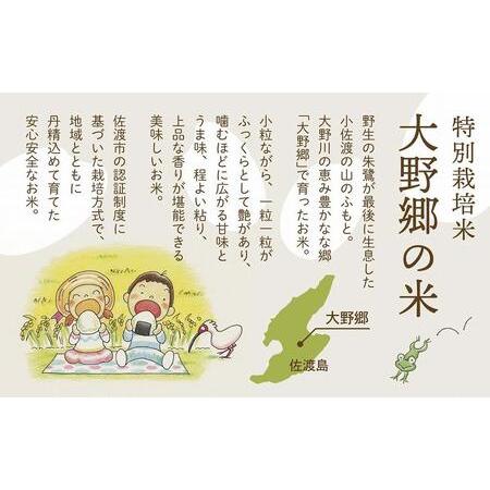 ふるさと納税 佐渡島産 特別栽培米こしひかり「大野郷の米」精米5kg×12回 定期お届けコース 新潟県佐渡市