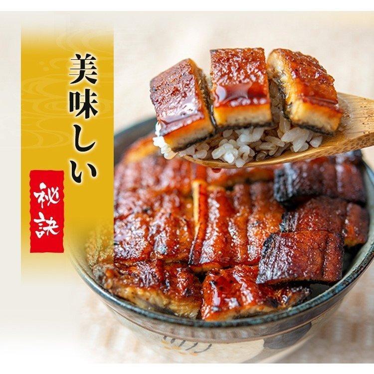 うなぎ 蒲焼き 鰻 国産 鹿児島県産 無投薬 特大 約200g×1尾 化粧箱 ギフト プレゼント お歳暮 御祝い ウナギ