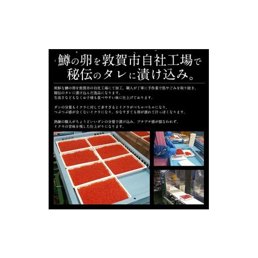 ふるさと納税 福井県 敦賀市 [053-a031] 創業100余年の味！鱒イクラ醤油漬け 500g（250g × 2パック）【敦賀 塩荘 しおそう いくら 鱒 イクラ …