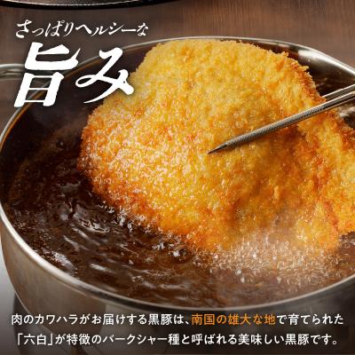 ふるさと納税 鹿児島市 かごしま黒豚 下ロースカツ用　8枚入り