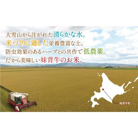 ふるさと納税 令和５年産 妹背牛産玄米10kｇ（一括）（1月発送） 北海道妹背牛町