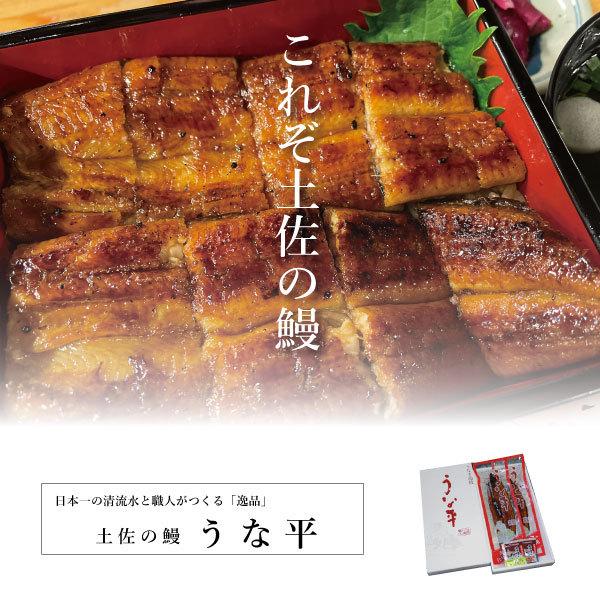 土用の丑の日　高知　国産　鰻　蒲焼　2尾セット　贈り物 ギフト 内祝 御歳暮 御中元 高知　特産品