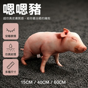 台灣出貨 嗯嗯豬 抽象搞怪表情 仿真動物紋理 擺件抱枕 15cm 40cm 60cm 尺寸可選 臥室客廳裝飾
