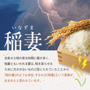 ふるさと納税 栃木県産ミルキークイーン 20kg 栃木県真岡市