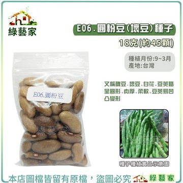 E06.圓粉豆種子18克(約45顆)(又稱醜豆.壞豆,白花,豆莢略呈圓形,肉厚柔軟,易凹凸變形)豆類種子【綠藝家】