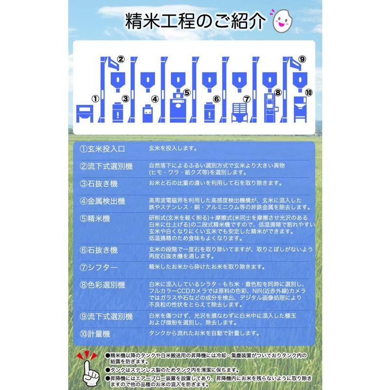 精米国内産 ブレンド米 生活応援米 白米 10kg (5kg×2) 沖縄対応不可