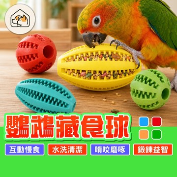 《家有毛孩🐾》鸚鵡藏食球 耐咬橡膠球 寵物橡膠球 啃咬玩具 益智玩具 磨喙玩具球 漏食玩具球 藏食玩具球 鳥用漏食球