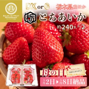 [予約 2024年1月5日-1月30日の納品] とちあいか いちご 約240g×2パック DX 苺 栃木県産 果実専用箱