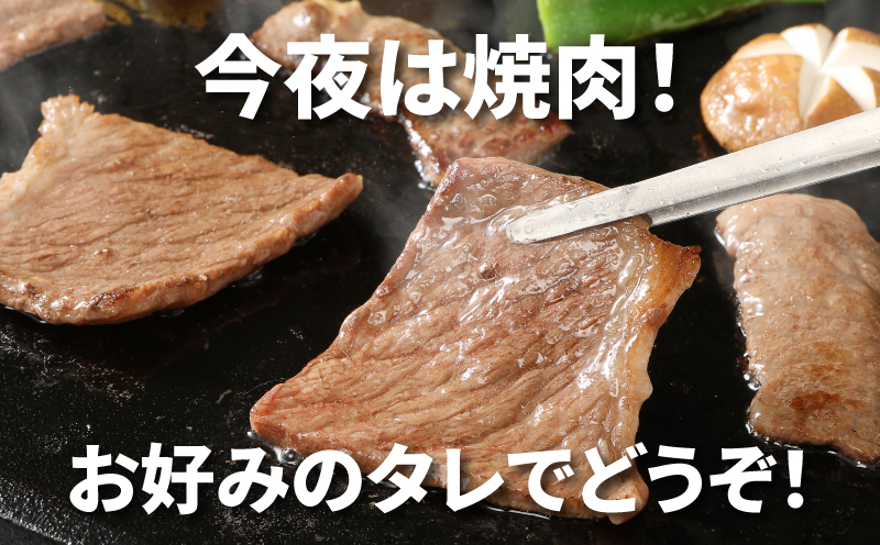 宮崎牛肩ロース焼肉600ｇ K18_0037