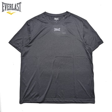 EVERLAST 短袖 短T 鐵灰 小LOGO 吸排 運動 上衣 男 4021108410