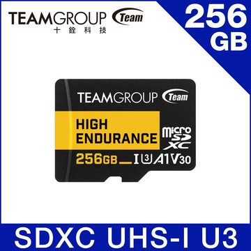 TEAM 十銓 High Endurance 256GB Micro SDXC UHS-I U3 V30  監控專用記憶卡
