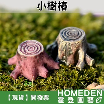 【隔日到貨】小樹樁 樹敦 微景觀 園藝裝飾 療育公仔 DIY造景 樹脂公仔 生態瓶 苔蘚景觀【HOMEDEN霍登園藝】
