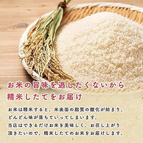 新米！令和5年産 秋田県産 あきたこまち 厳選米 米びつ当番プレゼント付き