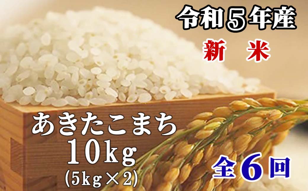 白米 10kg 令和5年産 あきたこまち 岡山 「おおがや米」生産組合 G-bg-CCZA