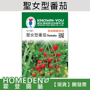【隔日到貨】聖女型番茄 V-191 水果種子 農友牌 小包裝種子 約20粒/包【HOMEDEN霍登園藝】