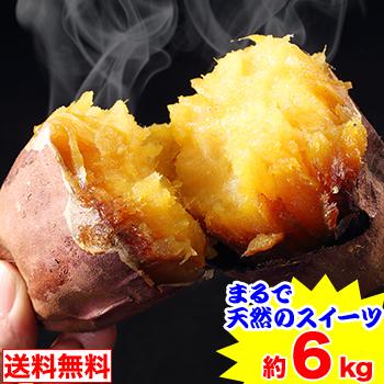 まるで天然のスイーツ　鹿児島県産サツマイモ「林作蜜芋」約6kg（約3kg×2箱）
