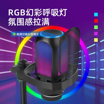 電競游戲麥克風USB電腦錄音話筒 帶防噴網套裝RGB燈光電容麥克風【北歐居家生活】
