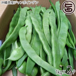 沖縄県産 ビックリ ジャンボインゲン 500g×2P 沖縄 野菜 沖縄の野菜 国産 お取り寄せ