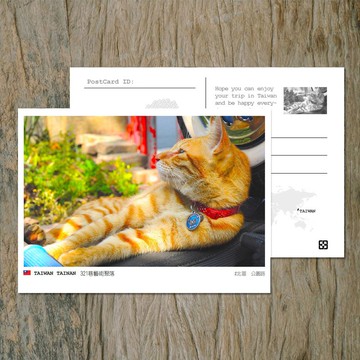 No.49臺灣明信片 / 臺南321巷聚落 / 任選買10送1