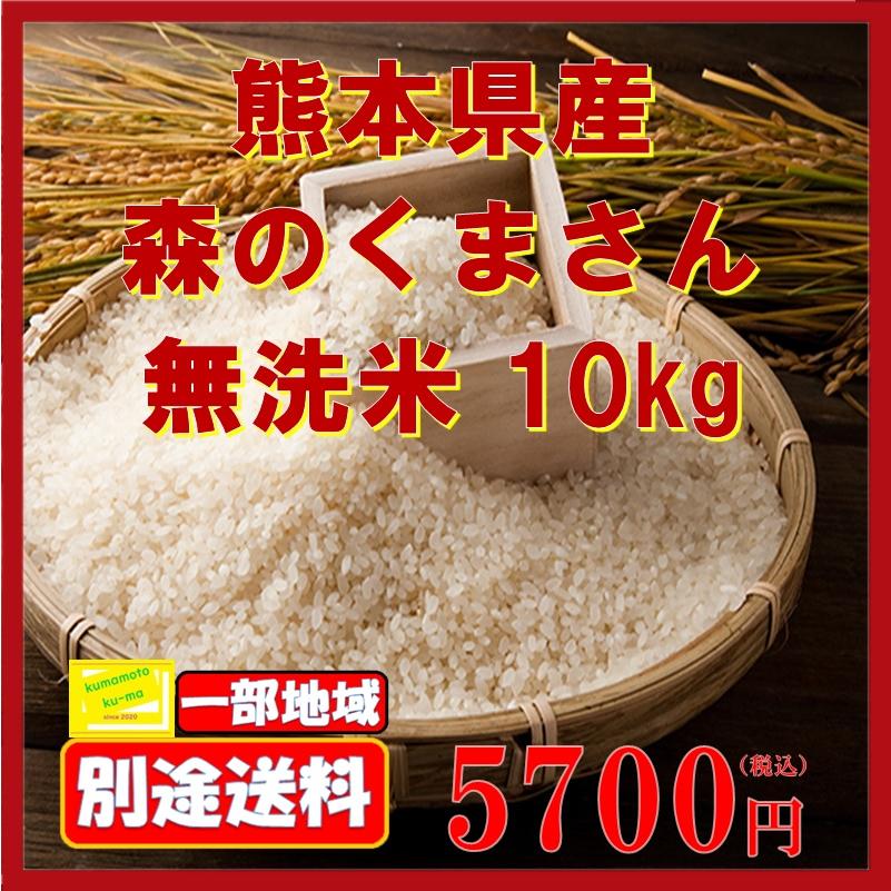 令和5年度産　森のくまさん　10ｋｇ　無洗米　白米　新米　熊本県産　熊本　米　お米