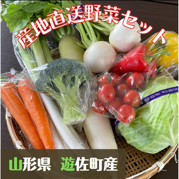 採れたて野菜セット  9-11種類　山形県遊佐町産 新鮮秋冬野菜