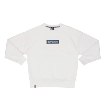 NBA 翻轉BOX刺繡 隊伍印花 男女 大學TEE 長袖上衣 灰熊隊 3555102300