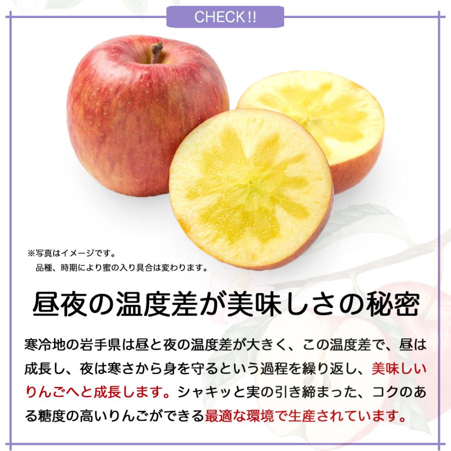 りんご 産地直送 岩手県産 ふじ 2kg 5-6玉入り サンふじ 秀品 贈答 ギフト 農家直送 林檎 リンゴ 果物 無袋栽培 樹上完熟