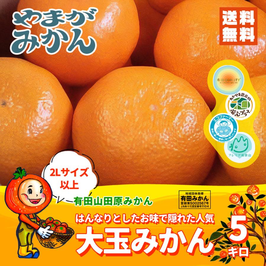 有田みかん 2Lサイズ以上の大玉みかん 5kg 化学肥料不使用 減農薬 和歌山有田山田原みかん やまがみかん園 送料無料