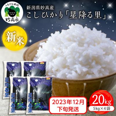 ふるさと納税 妙高市 新潟県妙高産こしひかり星降る里20kg