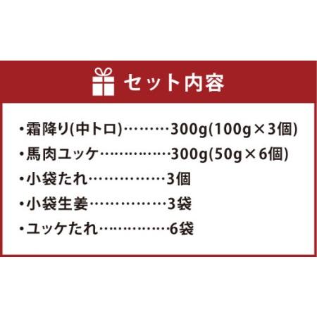 ふるさと納税 熊本 馬刺し 霜降り (中トロ) 300g ＋ 馬肉ユッケ 300g 合計600gセット 熊本県 高森町 冷凍 熊本県高森町