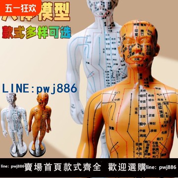 【便宜有好貨】針灸人體模型中醫經絡小銅人人體穴位模型十二經絡全身男女小皮人扎針培訓教學全身彩色清晰刻字不會褪色模型