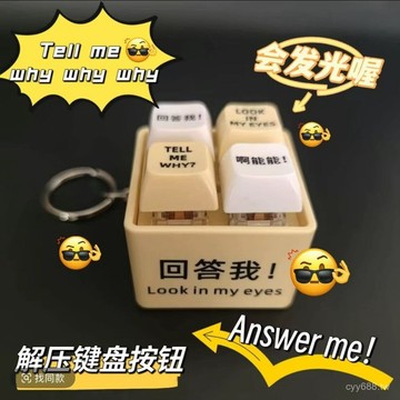 臺灣出貨⚡衕款解壓玩具迴答我語音鍵盤按鈕掛件Tell mewhy why懶漢車 VA5K