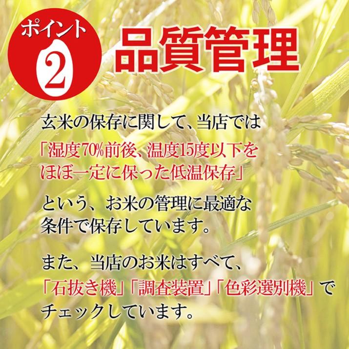 お届け中! 令和5年産 新米 2023 山形県産 あきたこまち 白米 20kg(5kg×4袋) 一等米 ギフト 精米 産地直送 おいしい 代表米 お土産 ブランド米 東北