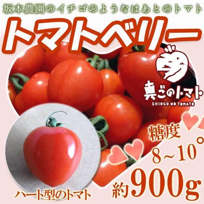 ミニトマト　トマト　ギフト　約900g　フルーツトマト　LINEショッピング　高糖度　トマトベリー　ハート型　熊本県産