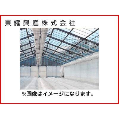 東罐 トーカン バリアースターV 厚さ0.05mm 巾600cm 100m巻 土壌消毒