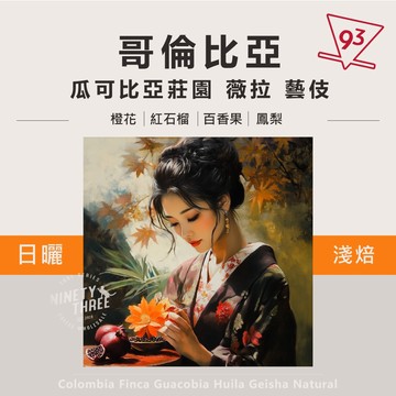 哥倫比亞 瓜可比亞莊園 薇拉 藝伎 日曬 淺焙 熟豆 咖啡豆 100g 『93咖啡』