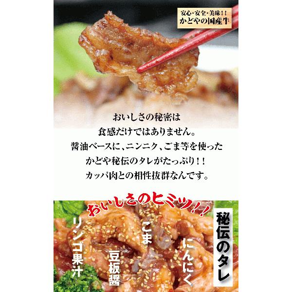 国産牛 カッパ味付け焼肉用500g 味付け 焼肉 BBQ バーベキュー 焼くだけ